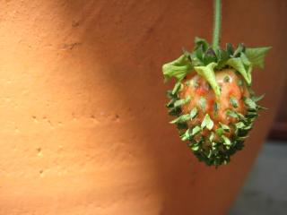 IMG_6540_convert_20130514142113.jpg