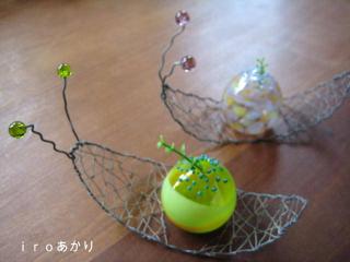 IMG_6630_convert_20130527112713.jpg