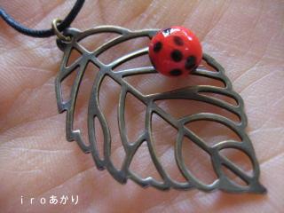 IMG_6648_convert_20130527112843.jpg