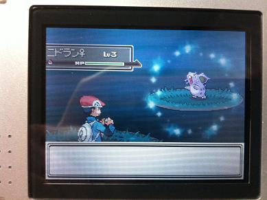 nidoranmesu1.jpg