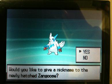 zangusu1.jpg