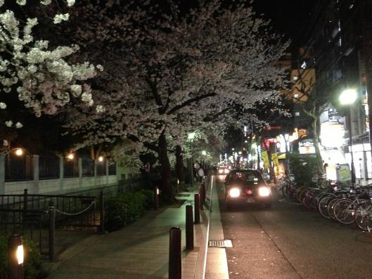 京都市 中京区 木屋町通り