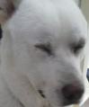 20120620070440.jpg