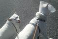 20120626073323.jpg