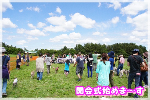 初NPA (3)