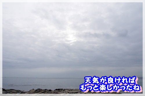 砂浜 (9)