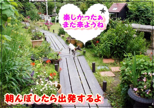 ペネロピとお泊り (14)