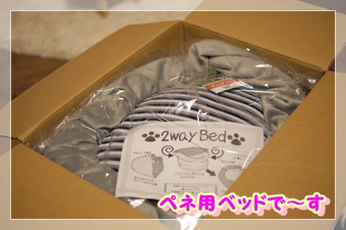 買い物上手 (3)