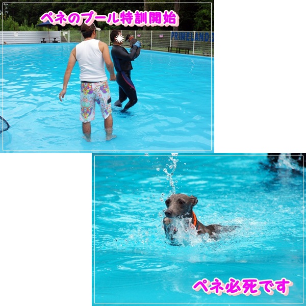 涸沼 (6)