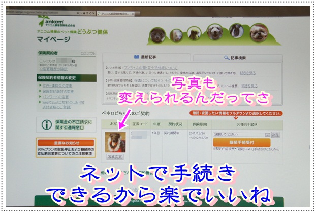 ペネ保険 (6)