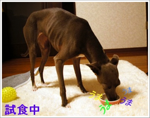 わんばーぐ (7)