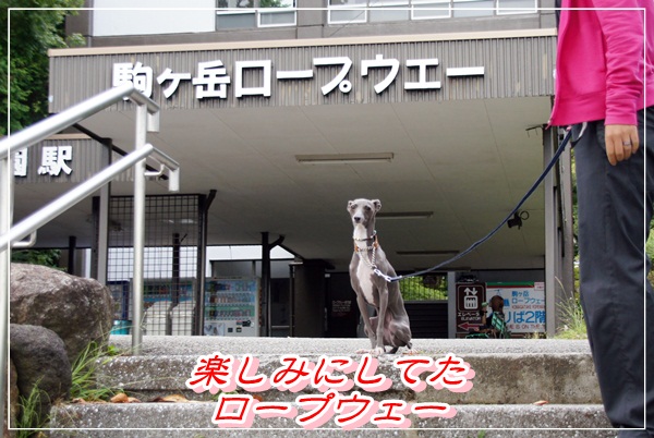 箱根園 (2)