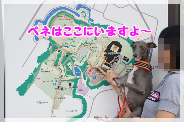 城址公園 (1)