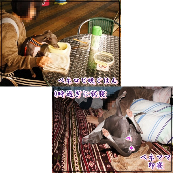 全日程 (6)