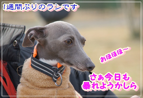 寒くても平気! (1)