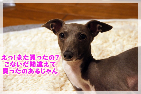 買いすぎ? (2)