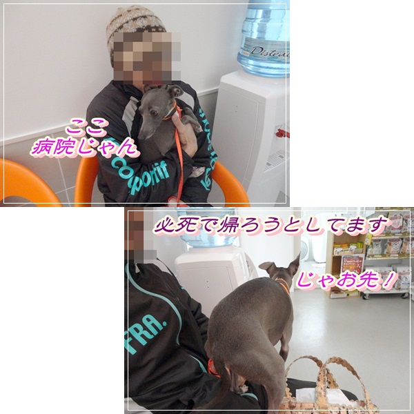 ワクチン接種 (2)