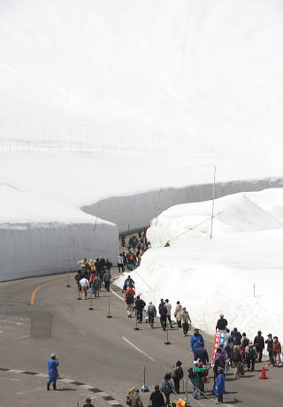 雪の大谷ウォーク