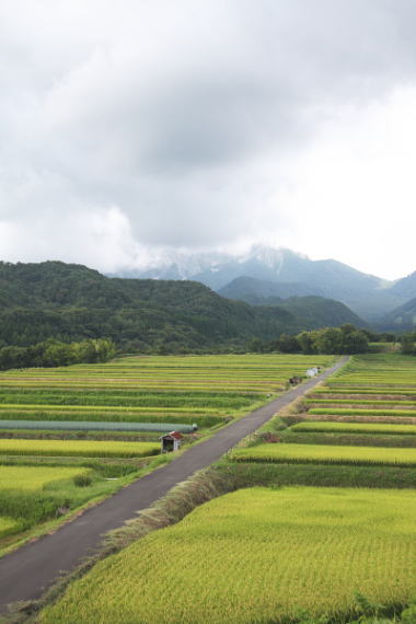 御机の田園風景