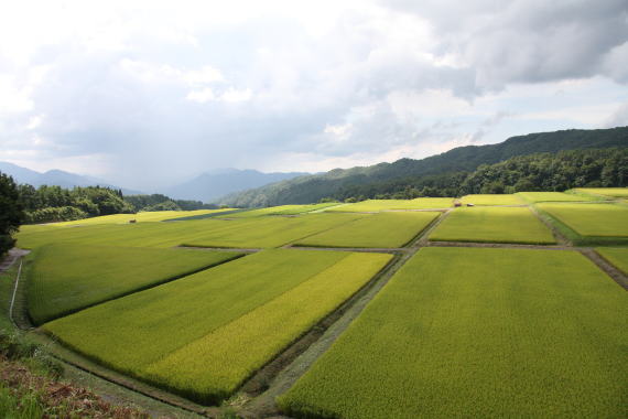 御机の田園風景