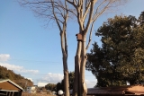 s-DSC01454.jpg