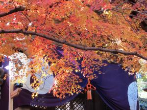 光明寺3