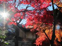 光明寺5