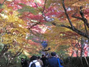 光明寺7