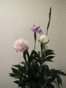 芍薬と菖蒲