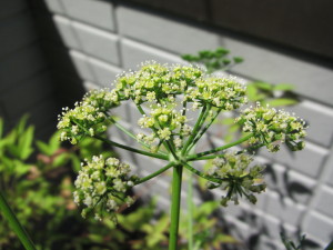201306041