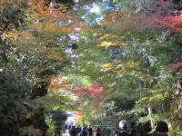 高台寺1220121203