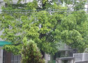 台風17号