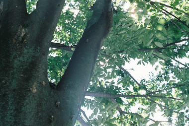 20120904-2.jpg