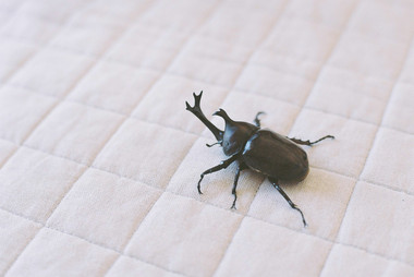 20120926.jpg