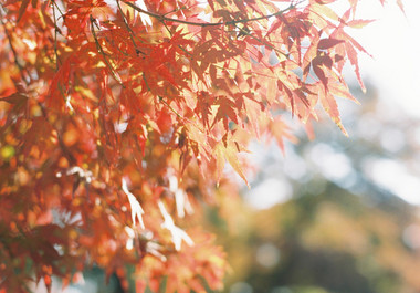 20121211-2.jpg