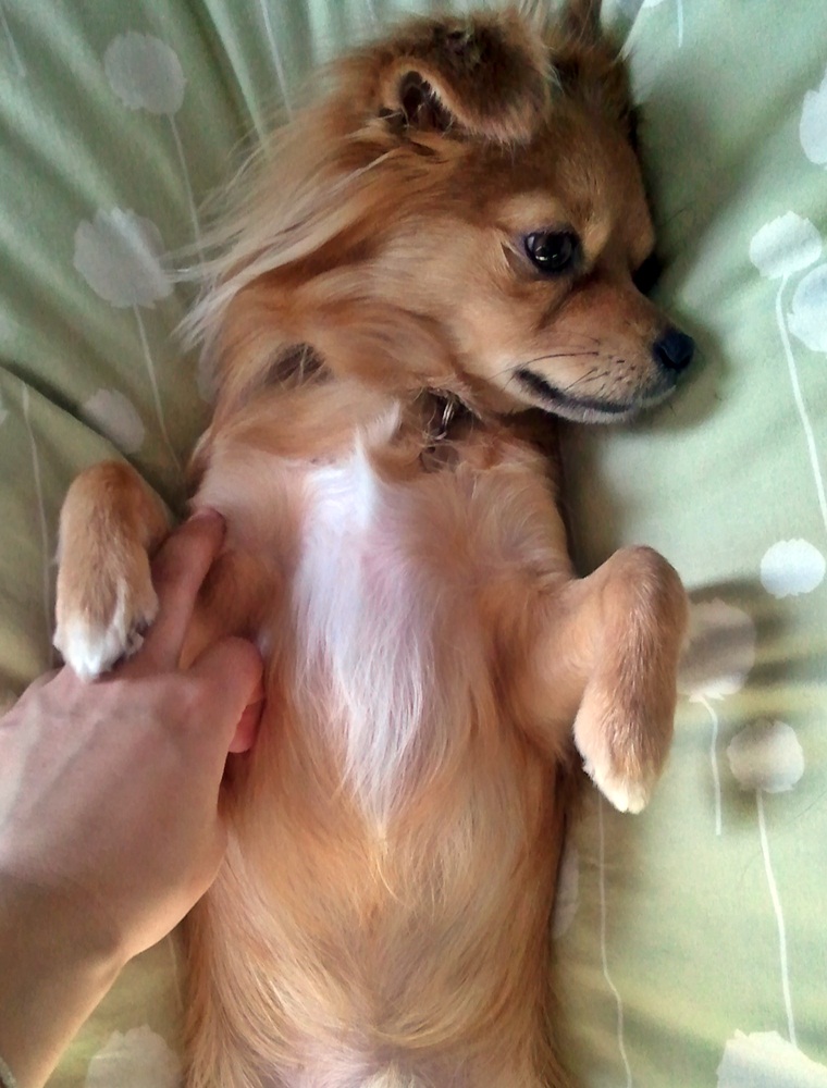 10_20120822105919.jpg