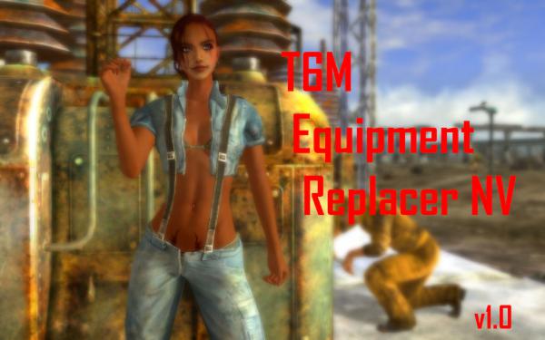v1_0 T6M Equipment Replacer NV