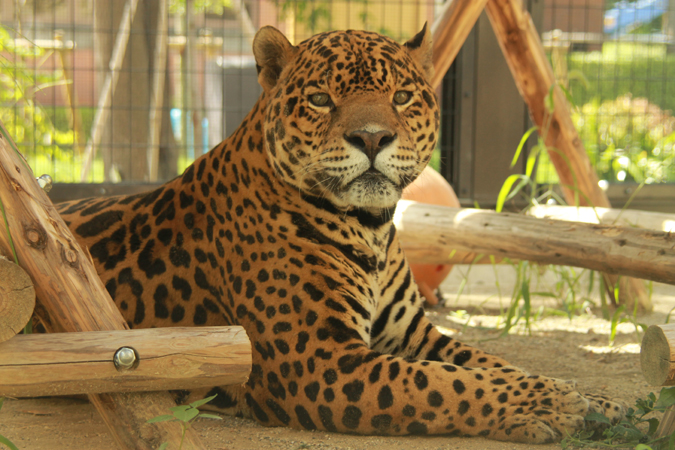20120828_grande_01.jpg