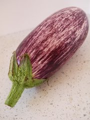 Eggplant-stripy