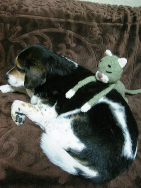 DSCF0602_R.jpg