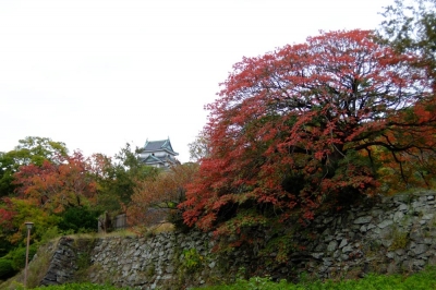 和歌山城秋景