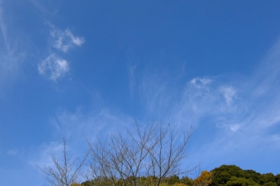 11月23日の空