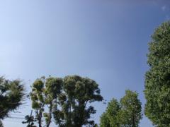 空