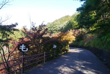 P1070347_R.jpg