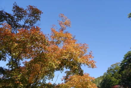 P1070348_R.jpg