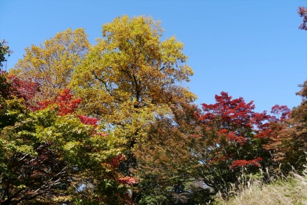 P1070351_R.jpg
