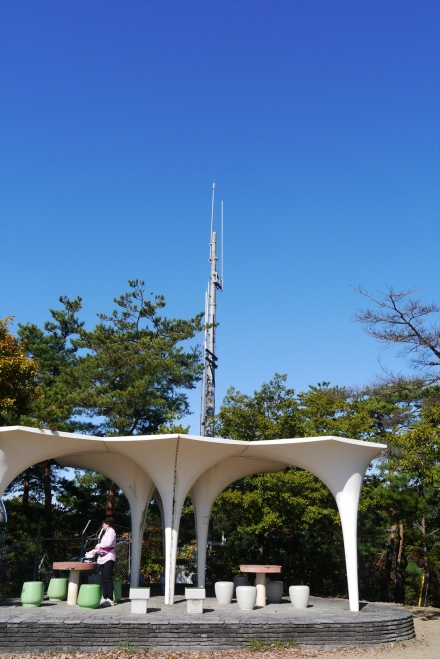 P1070354_R.jpg