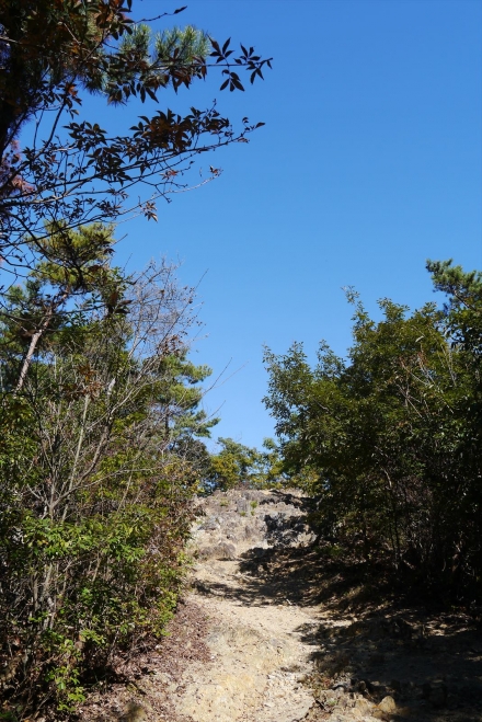 P1070355_R.jpg