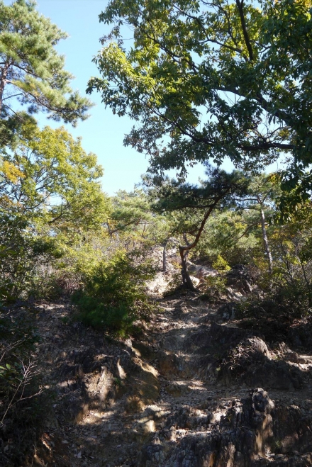 P1070356_R.jpg