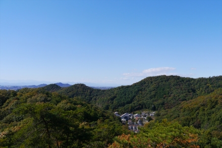 P1070357_R.jpg